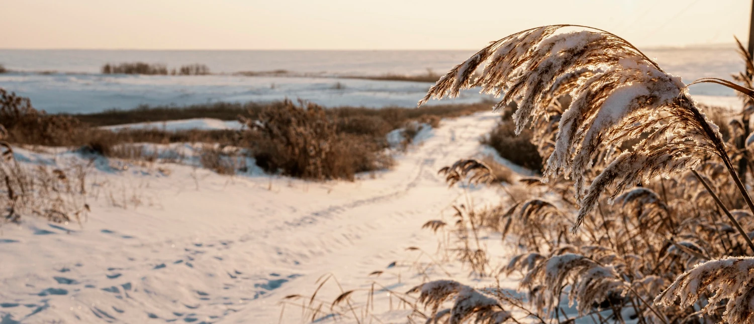 Winterurlaub an der Ostsee